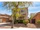 Two-story home featuring desert landscaping and neighbor, partially obscured by a large tree at 3891 E Melrose St, Gilbert, AZ 85297