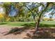 View of the community park with lush green grass, mature trees and playground equipment at 39526 N White Tail Ln, Anthem, AZ 85086