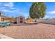 Spacious backyard with a picnic table, shed, large tree, and low-maintenance gravel at 4201 W Brown St, Phoenix, AZ 85051