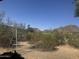 Expansive backyard featuring native trees and a swing set, offering a perfect spot for outdoor activities at 6528 N Hillside Dr, Paradise Valley, AZ 85253