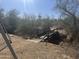 Backyard view showing rustic wooden bridge surrounded by native trees at 6528 N Hillside Dr, Paradise Valley, AZ 85253