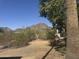 Desert landscape view with mountain range and trees at 6528 N Hillside Dr, Paradise Valley, AZ 85253