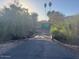 Driveway leading to a lush property with two palm trees at 6528 N Hillside Dr, Paradise Valley, AZ 85253