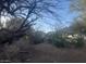 Outdoor landscape, offering lots of potential to personalize your yard at 6528 N Hillside Dr, Paradise Valley, AZ 85253