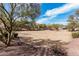 Expansive community common area with desert landscaping, offering open space and scenic views at 7910 W Spur Dr, Peoria, AZ 85383