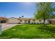 Charming single-story home with a well-maintained lawn and mature tree at 829 E Desert Park Ln, Phoenix, AZ 85020