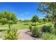 Inviting view of a neighborhood green space, featuring walking paths and lush greenery at 9730 E Resistance Ave, Mesa, AZ 85212