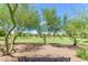 Picturesque park view showcasing open green spaces and trees, perfect for outdoor recreation and community gatherings at 9730 E Resistance Ave, Mesa, AZ 85212