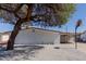 Charming single-story home with a large tree in the front yard and a basketball hoop at 12207 N Escobar Way, Phoenix, AZ 85022