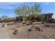 Desert-style landscaping with cacti, rocks, and native plants at 13827 N Sunset Dr, Fountain Hills, AZ 85268
