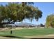 Picturesque view of the golf course with a mature tree and distant mountain views, creating a serene backdrop at 17204 W Cordova Ct, Surprise, AZ 85387