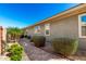 View of backyard showcasing the side of home, a brick walkway, privacy shrubs and rock landscaping at 18635 W Miami St, Goodyear, AZ 85338