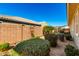 Backyard view with privacy wall, landscaping, and lush privacy shrubs and view of the home at 18635 W Miami St, Goodyear, AZ 85338