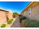 A lush landscaped backyard showing a covered outdoor kitchen and privacy shrubs at 18635 W Miami St, Goodyear, AZ 85338