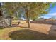 Large backyard featuring a grill and storage shed at 3349 E Carmel Ave, Mesa, AZ 85204