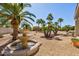 Backyard landscaping featuring gravel, a water fountain, and mature palm trees at 4803 W Buckskin Trl, Phoenix, AZ 85083