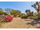 A well-maintained yard featuring gravel, mature vegetation, and desert plants at 4803 W Buckskin Trl, Phoenix, AZ 85083