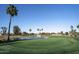 Beautiful golf course with pond and palm trees at 482 Leisure World --, Mesa, AZ 85206