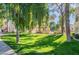 Manicured community green space with mature trees and landscaping at 750 E Northern Ave # 1079, Phoenix, AZ 85020