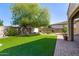 Expansive backyard with lush artificial grass, mature trees offering shade, and a charming brick paver patio at 7576 W Quail Ave, Glendale, AZ 85308