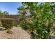 Charming citrus tree in a well-manicured backyard with desert landscaping and a privacy wall at 7576 W Quail Ave, Glendale, AZ 85308