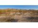 Desert landscape featuring native shrubs, with stunning mountain views, in a natural and serene setting at 9121 W Quail W Trl, Queen Creek, AZ 85144
