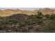 Scenic mountain view overlooking the Phoenix valley, with lush greenery, picnic spot, and parking area at 10224 N 12Th Pl # 1, Phoenix, AZ 85020