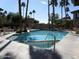 Community pool surrounded by palm trees and lounge chairs, offering a tropical oasis at 10224 N 12Th Pl # 1, Phoenix, AZ 85020