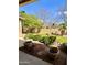 Green backyard with some potted plants and a small privacy wall at 1339 N Tucana Ln, Gilbert, AZ 85234