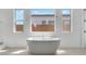 A luxurious soaking tub is framed by three windows, creating a serene spa-like bathroom at 14194 W Sand Hills Rd, Surprise, AZ 85387