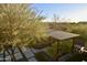 This backyard features an open-air pergola shading a seating area and drought-tolerant landscaping at 17594 N 98Th Way, Scottsdale, AZ 85255