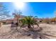 Single-story home features desert landscaping with a palm tree in the front yard at 18155 N Sterling Dr, Surprise, AZ 85374