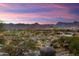 Picturesque landscape with desert foliage, mountain views, and neighborhood architecture at 20584 W Hillcrest Blvd, Buckeye, AZ 85396