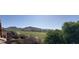 Beautiful golf course views and mountain views in this open space backyard with mature tree coverage at 3517 N Paseo Del Sol --, Mesa, AZ 85207