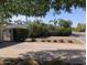 Front yard features a lush hedge, decorative round hay bales, and shade from the trees on a sunny day at 4145 E Libby St, Phoenix, AZ 85032