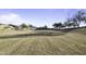 Expansive community greenspace with drought resistant landscaping in residential neighborhood at 4552 S 238Th Ln, Buckeye, AZ 85326