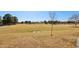 Community green space featuring large grass lawn, trees and walking path at 4979 E Colonial Dr, Chandler, AZ 85249