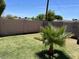 Backyard features a green lawn, a small palm tree and tall block wall for privacy at 6607 W Osborn Rd, Phoenix, AZ 85033