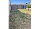 Backyard lawn with block wall, metal gate and small palm tree at 6607 W Osborn Rd, Phoenix, AZ 85033