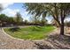 Community green space with mature trees and walking paths, perfect for outdoor enjoyment at 8962 W Grovers Ave, Peoria, AZ 85382