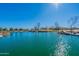 Picturesque pond reflecting the clear sky, surrounded by lush greenery, offering a serene escape for residents at 9960 E Strobe Ave, Mesa, AZ 85212