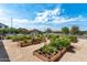 Explore the community garden with its raised planting beds and landscaping under a bright blue sky at 15260 W Alexandria Way, Surprise, AZ 85379