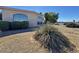 Waterfront backyard with desert landscaping and beautiful views at 15720 S Lanai Cir, Arizona City, AZ 85123