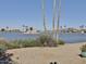 Scenic lake view featuring mature palm trees and waterfront homes at 15720 S Lanai Cir, Arizona City, AZ 85123