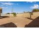 View of the spacious backyard with a tree and block wall fence at 18211 N 24Th Ave, Phoenix, AZ 85023