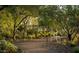 A beautiful community garden with a bench seat that offers a relaxing spot amidst trees and foliage at 2232 W Chisum Trl, Phoenix, AZ 85085