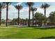 Green grass field is surrounded by palm trees, picnic tables and sun shelters on a sunny day at 2232 W Chisum Trl, Phoenix, AZ 85085