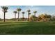 Expansive community park with a verdant lawn and a shaded picnic area with mature trees at 2232 W Chisum Trl, Phoenix, AZ 85085