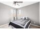 Cozy bedroom with plush carpet, ceiling fan, and two windows providing natural light, plus a gray comforter at 2602 E Glass Ln, Phoenix, AZ 85042