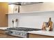 Close-up of a high-end stainless steel stovetop with decorative items and a white backsplash at 26885 N 87Th Dr, Peoria, AZ 85383